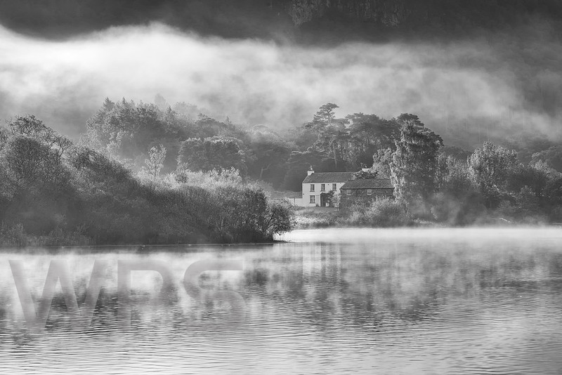 Stable Hills Mist