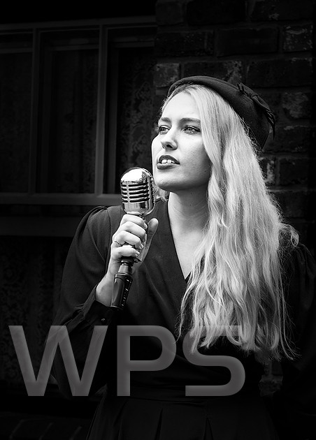 The Singer