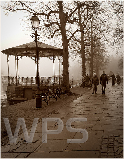 Misty Morning By The River