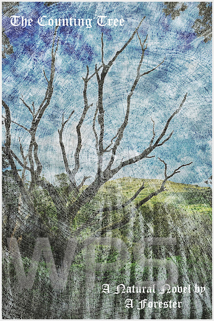 The Counting Tree