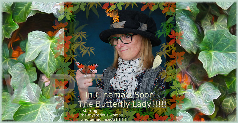 The Butterfly Lady