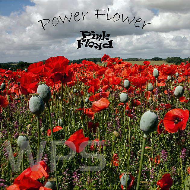 Power Flower