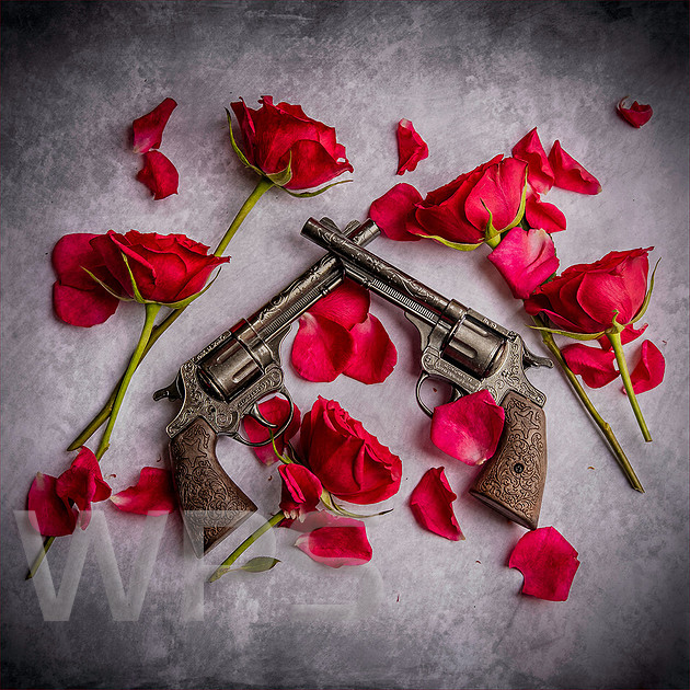 Guns and Roses