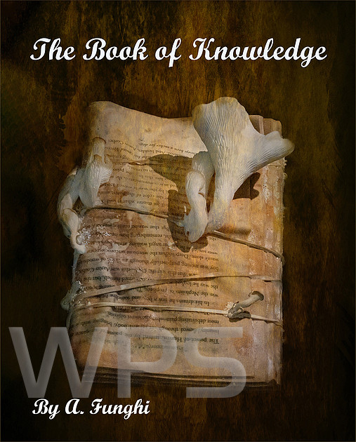 The Book of Knowledge