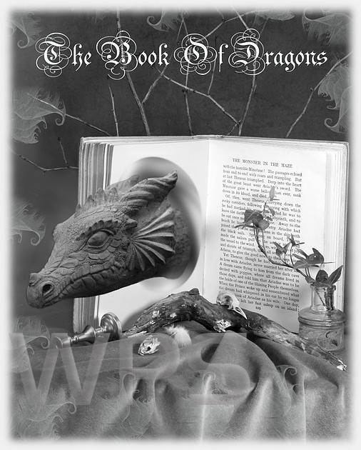The Book Of Dragons