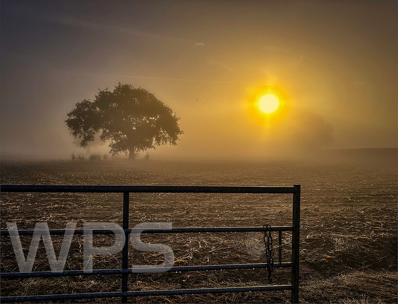 Sunrise On Misty Morning