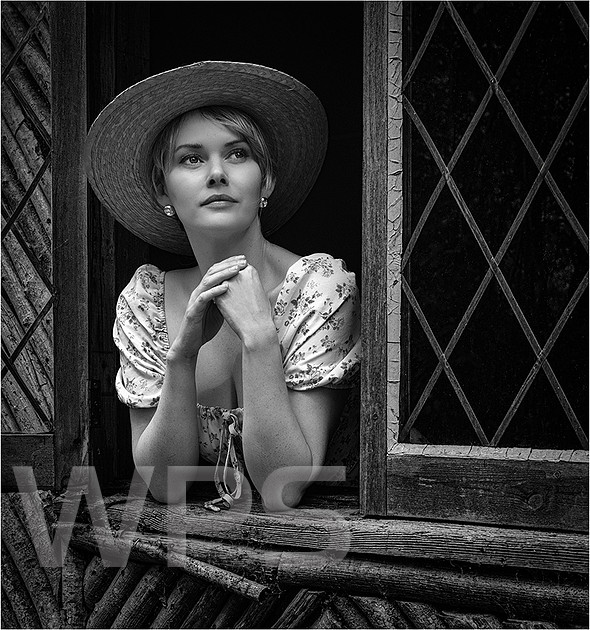 Gazing From The Window