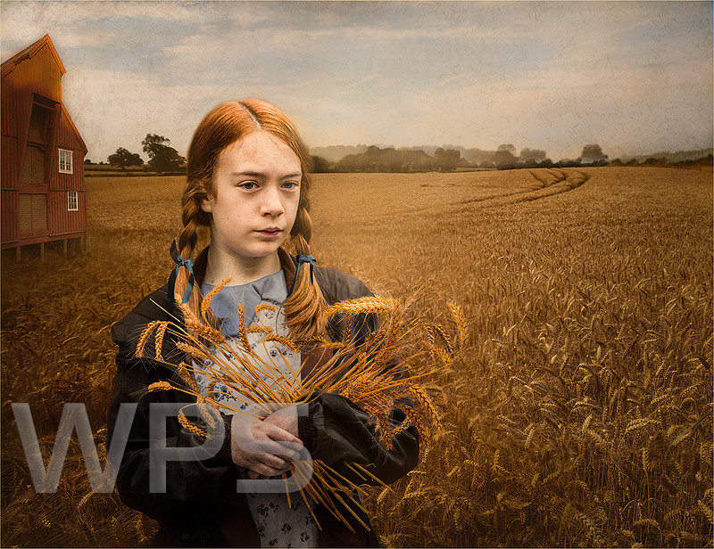 The Farmers Daughter