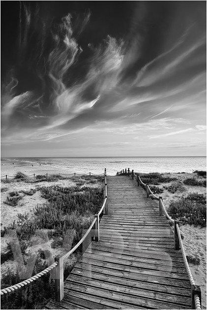 Walk The Planks