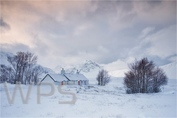 Black Rock Cottage