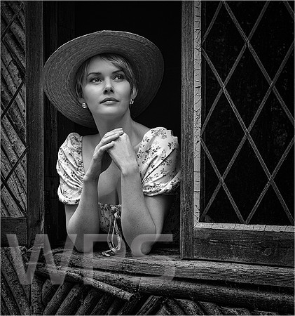 Gazing From The Window