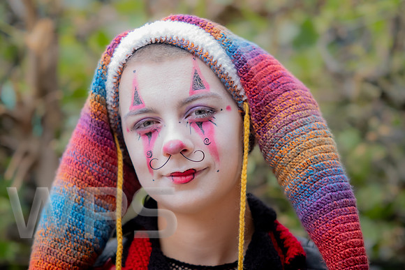 The little Jester