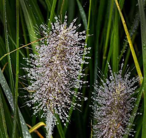 PA210077,3,B,R10,S4