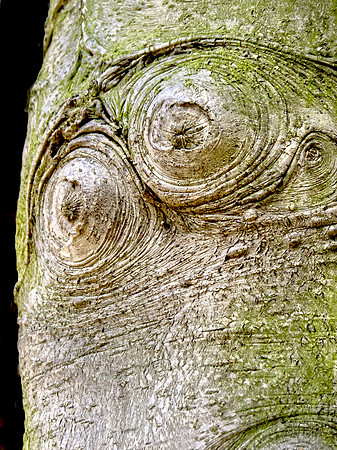 P8210031