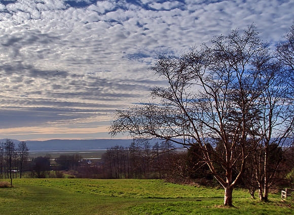 SCO15349_50