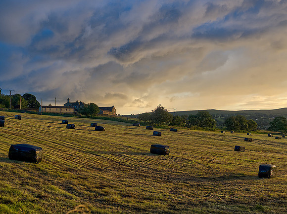 Making hay