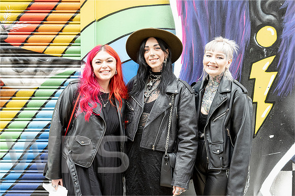 The Ladies