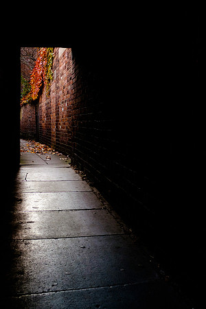 Autumn alley