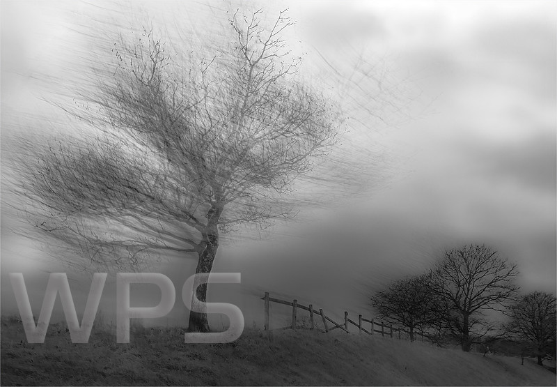 Winter Winds